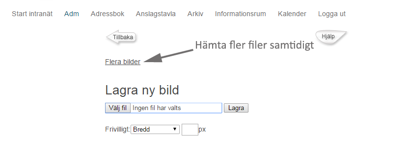 hamtaflerafiler.png